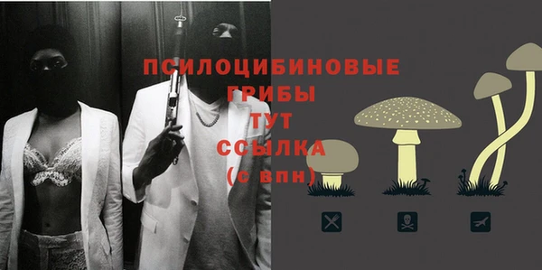 mix Армянск