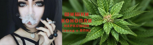 ешки Аркадак