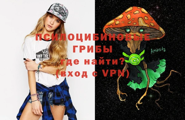 PSILOCYBIN Пролетарск