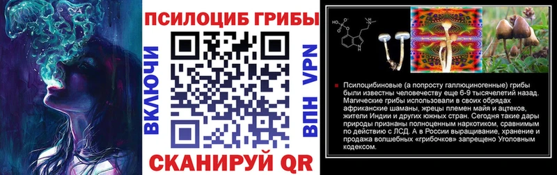 как найти   Малоархангельск  Галлюциногенные грибы прущие грибы 